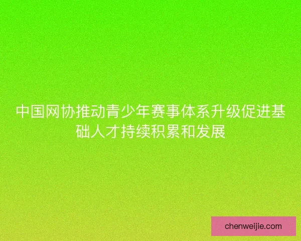 中国网协推动青少年赛事体系升级促进基础人才持续积累和发展