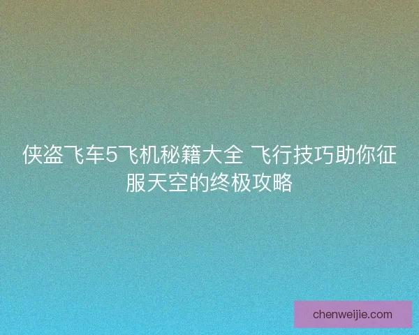 侠盗飞车5飞机秘籍大全 飞行技巧助你征服天空的终极攻略