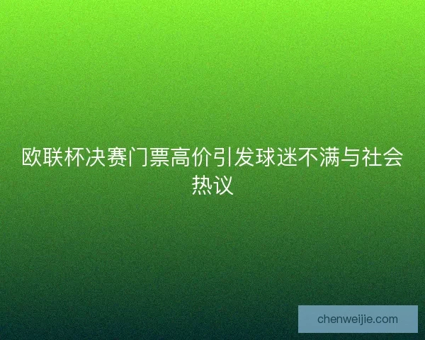 欧联杯决赛门票高价引发球迷不满与社会热议