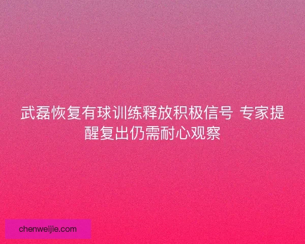 武磊恢复有球训练释放积极信号 专家提醒复出仍需耐心观察